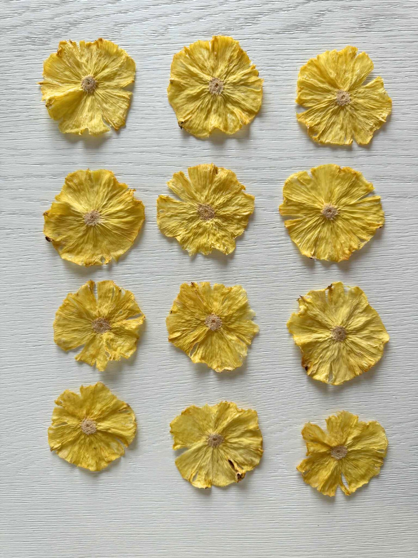 Small Pineapple Wheels Bag | 20+ Premium Slices